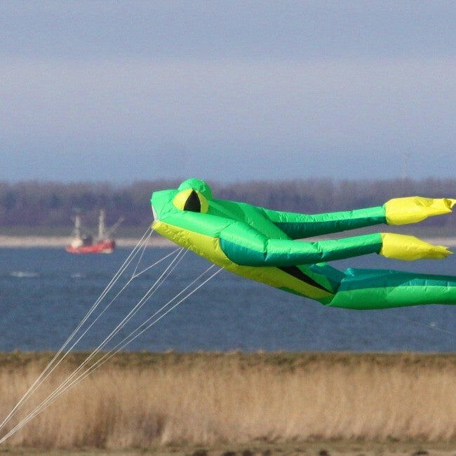 Einleiner Drachen Wolkensturmer Fritz the Frog XL 160635 Grün 480 x 150 cm 5/7
