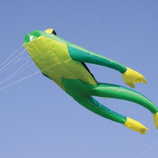 Cerf-Volant - la Grenouille - Grand