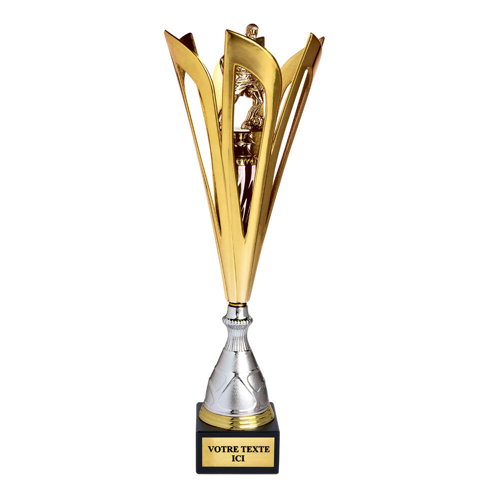 TROPHÉE VAINQUEURS picture