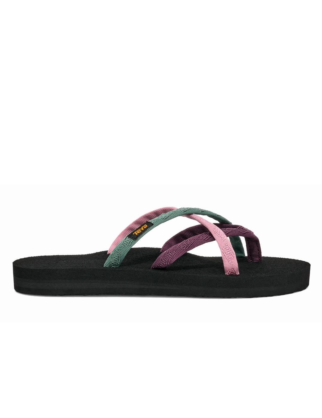 TEVA picture