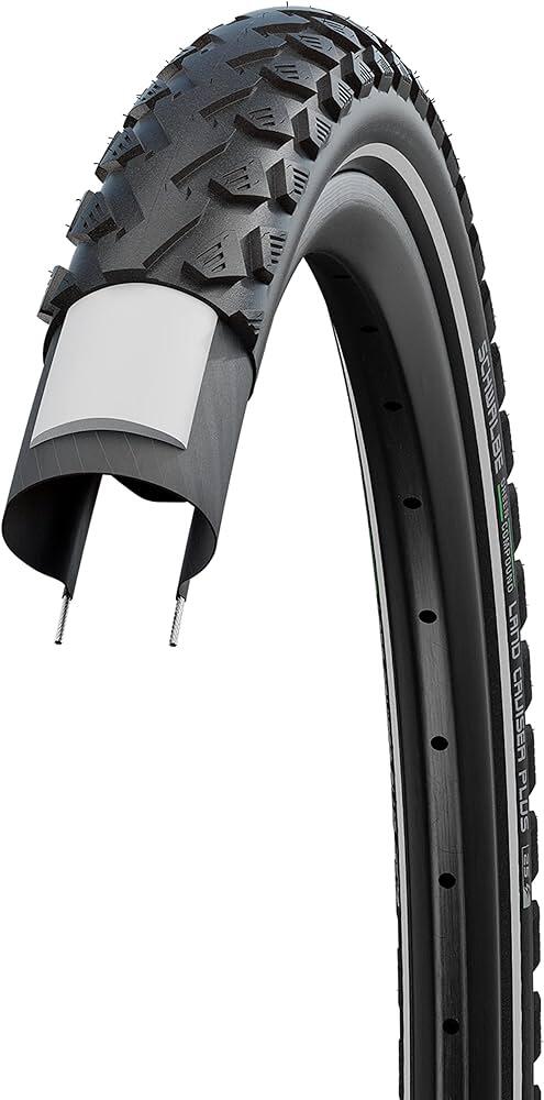 SCHWALBE picture