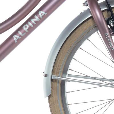 Alpina Schutzblech-Set 20 Fracht in Silber Matt