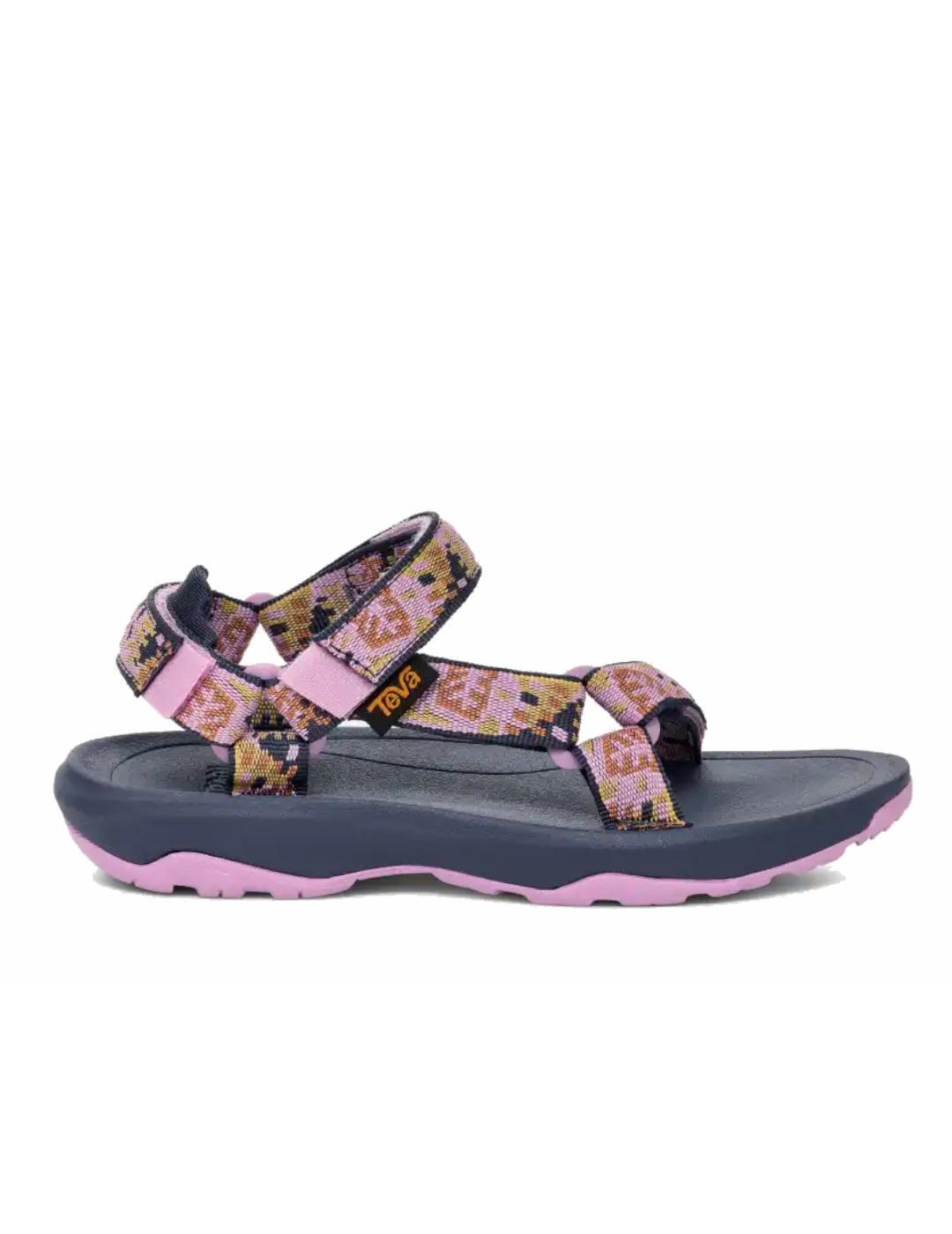 TEVA picture