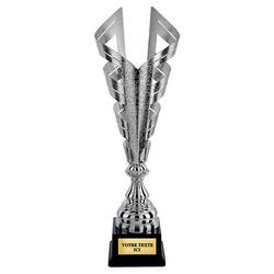 Coupe trophées des vainqueurs