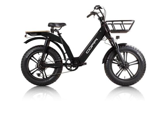 Fat cargo e-bike elettrica a pedalata assistita Lipari nera