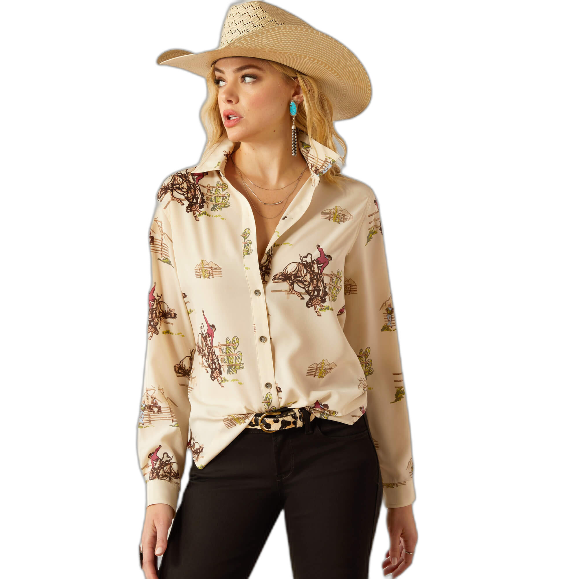 ARIAT picture