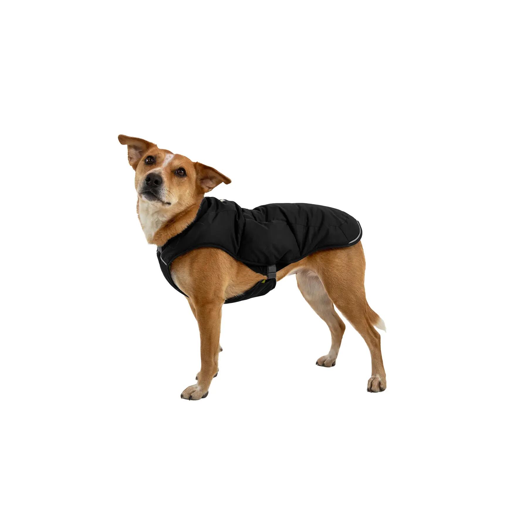 Imperméable pour chien Ruffwear Quinzee 2/3