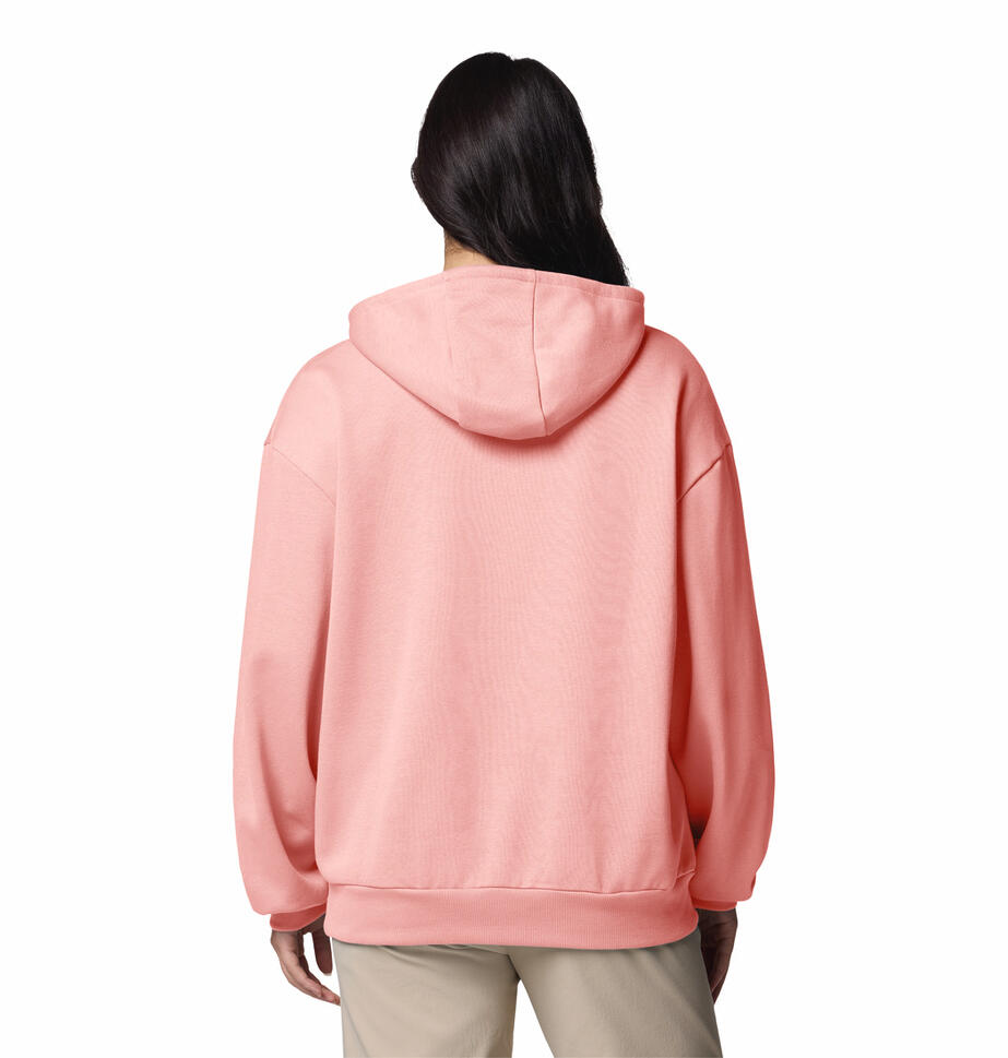 Columbia Bluza Aldermore 2123001669