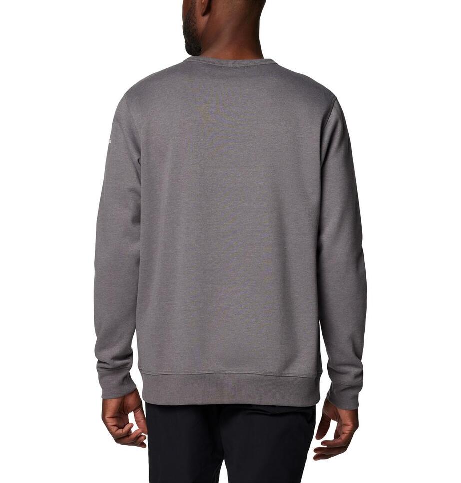 Columbia Bluza Logo Fleece 1884931022