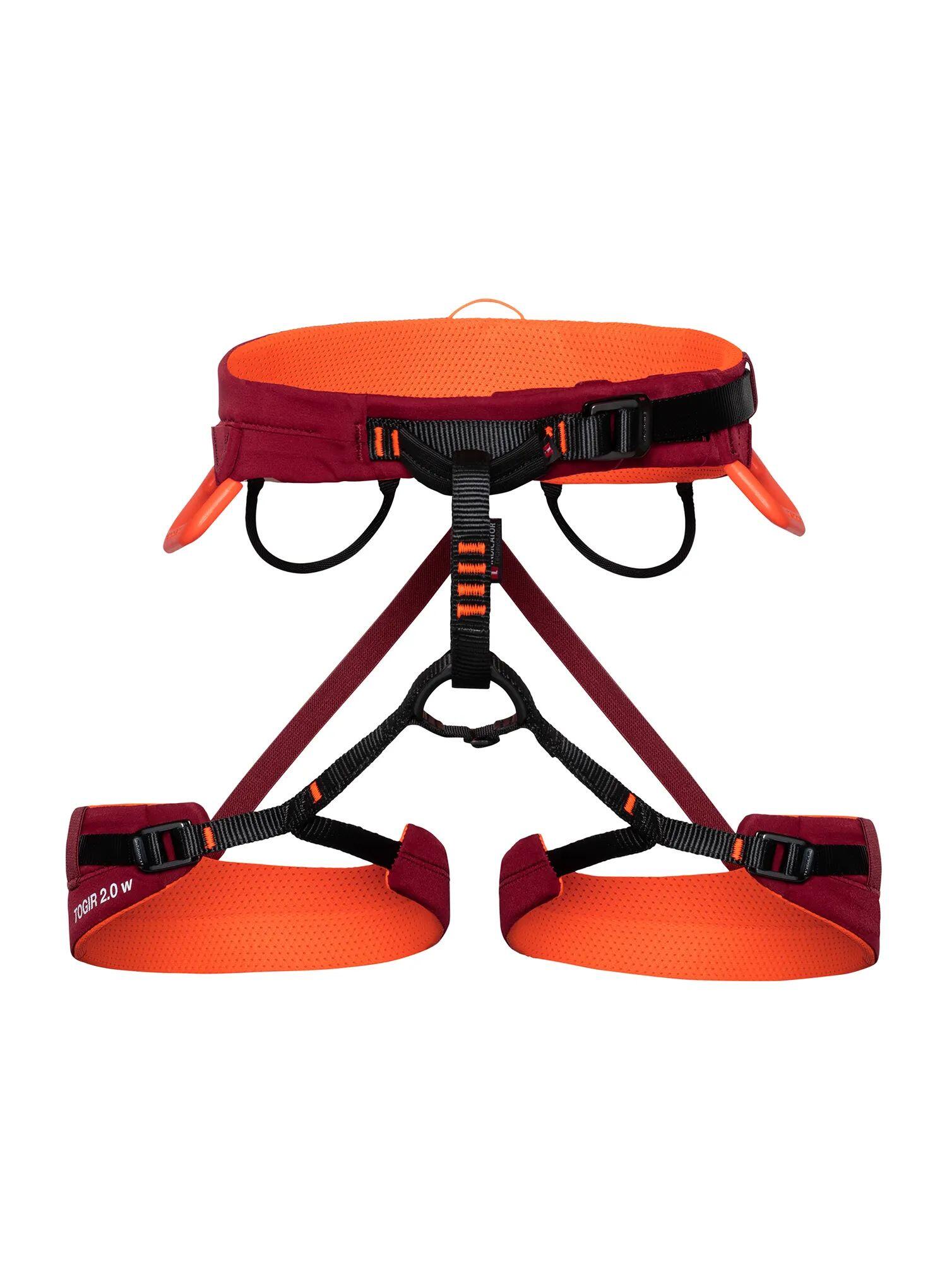 MAMMUT picture