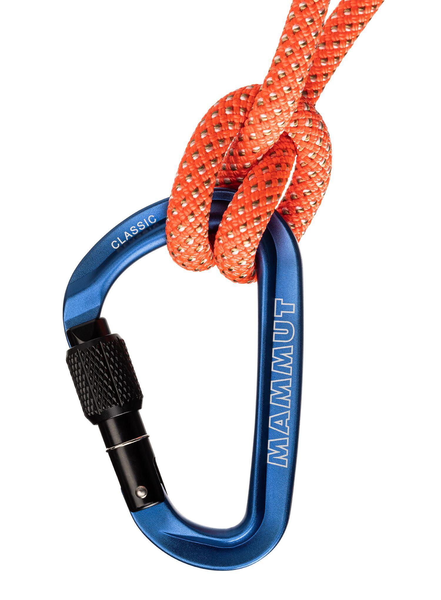 Mammut Classic HMS Carabiner - bleu 2/3