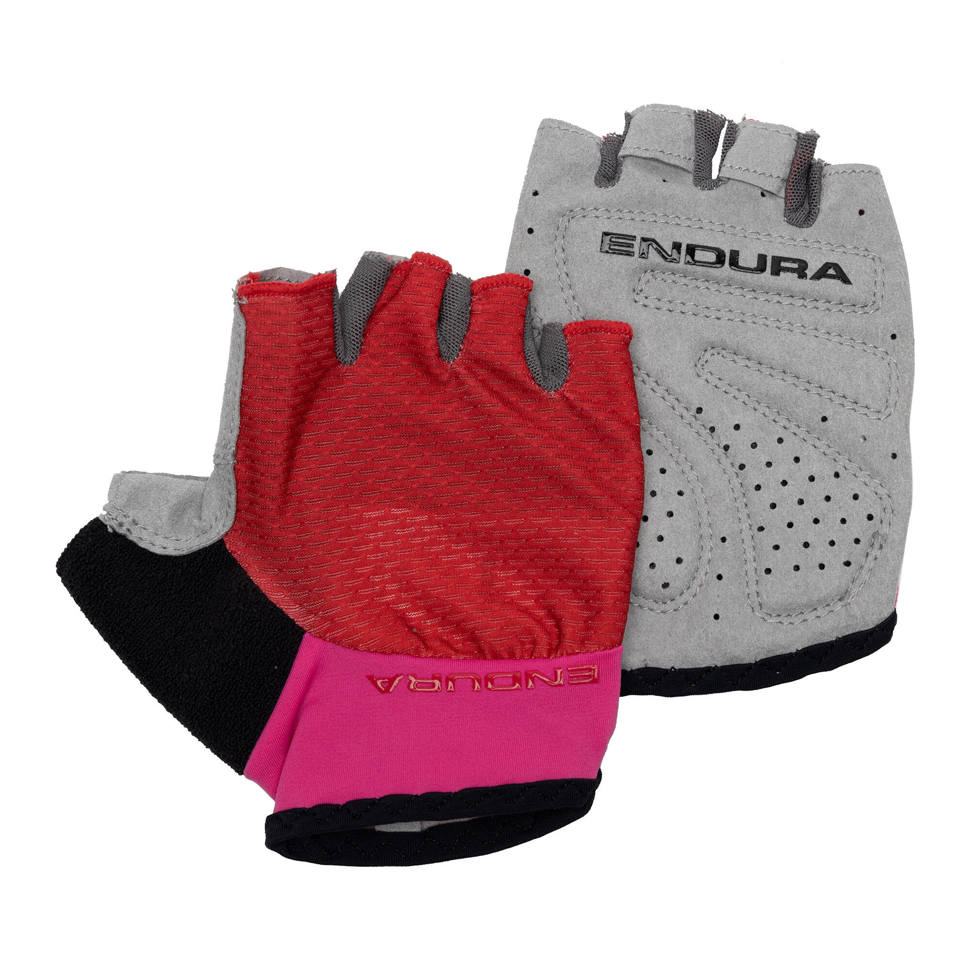 ENDURA picture