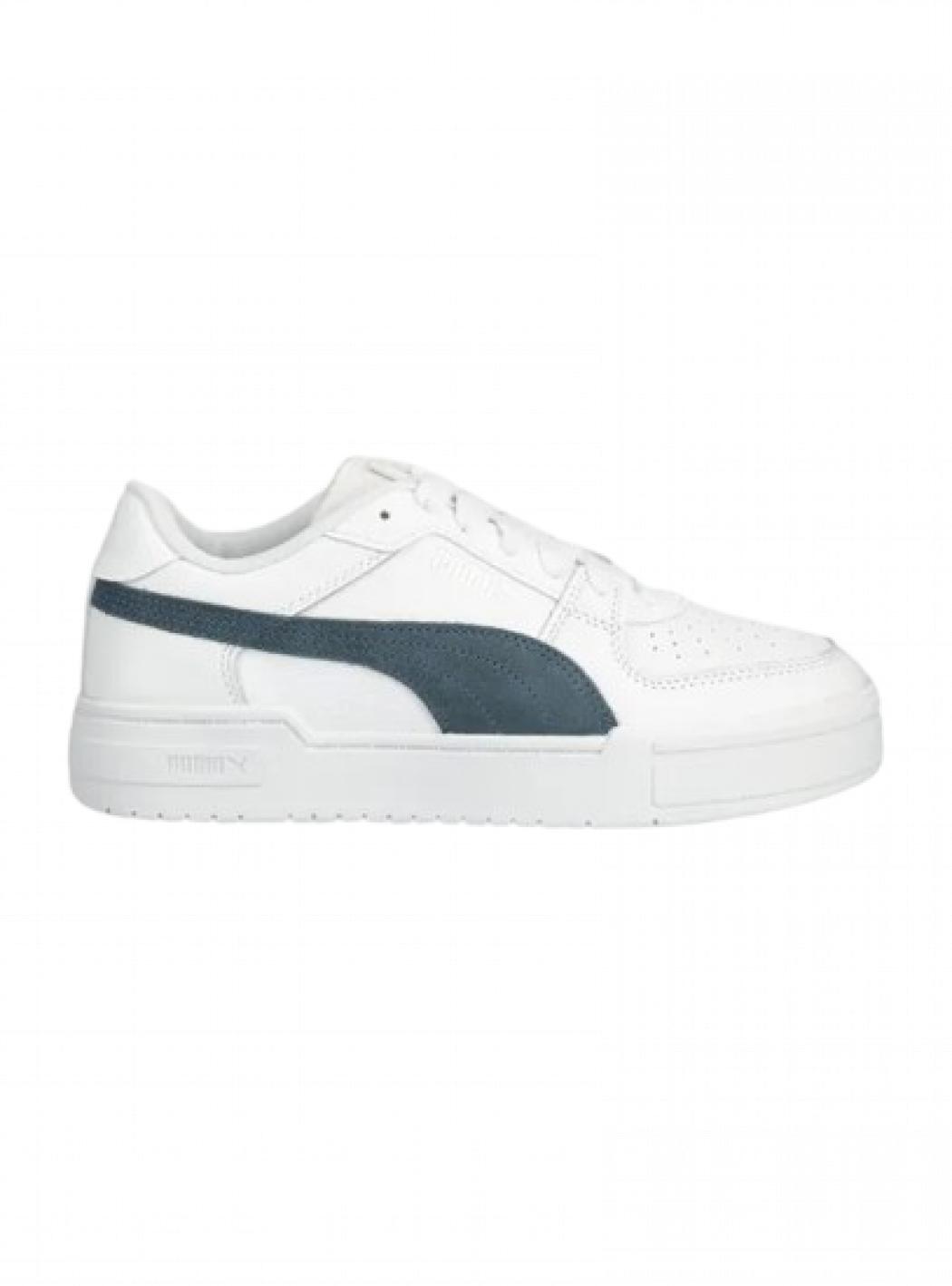 PUMA picture