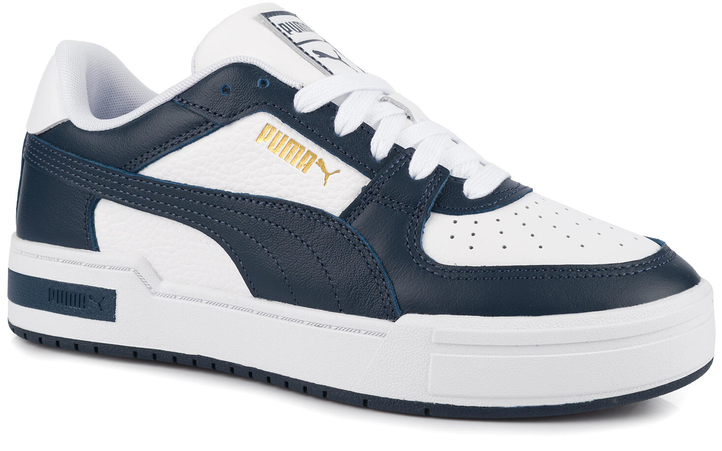 PUMA picture