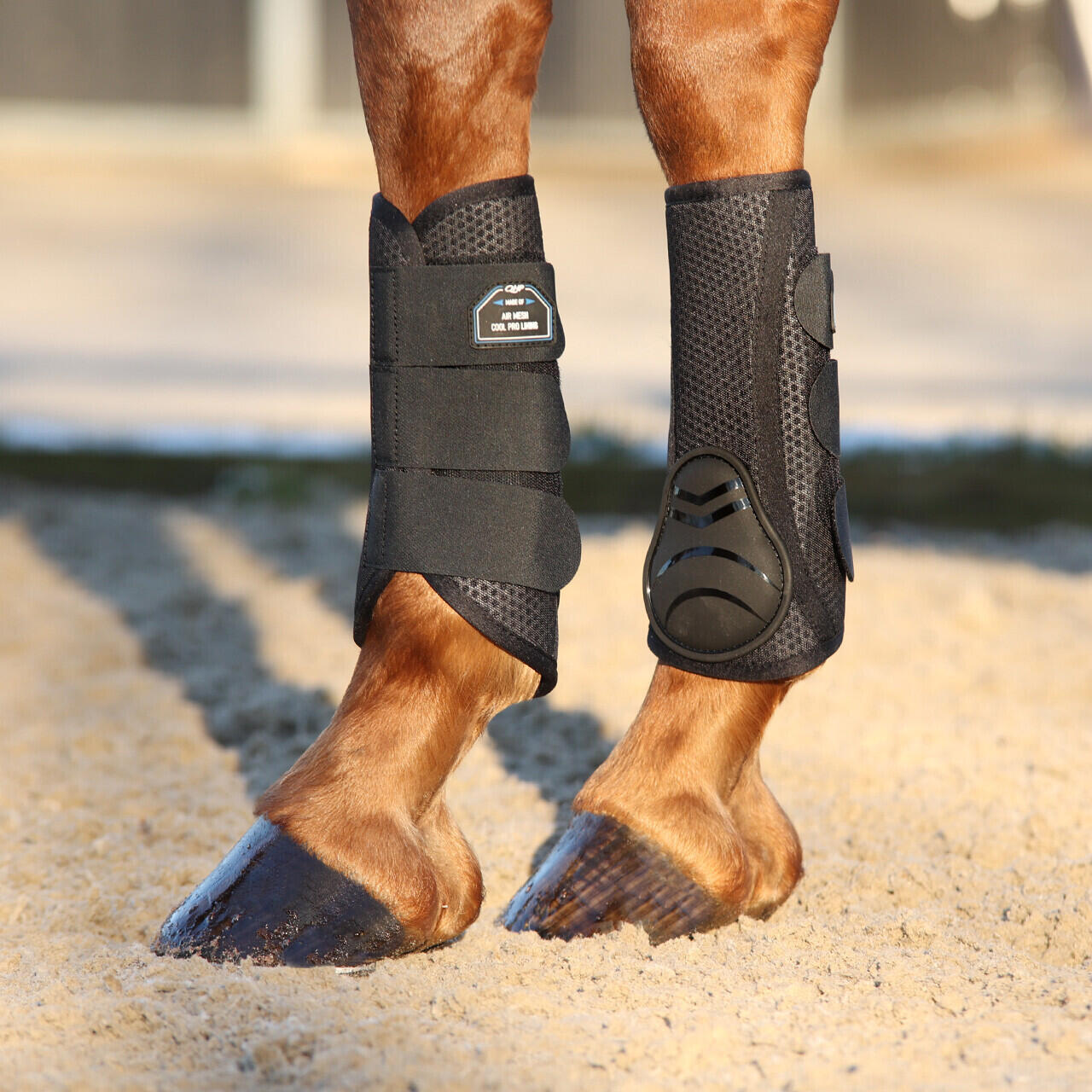 Closed front gaiters for horses QHP Air Mesh 3/3