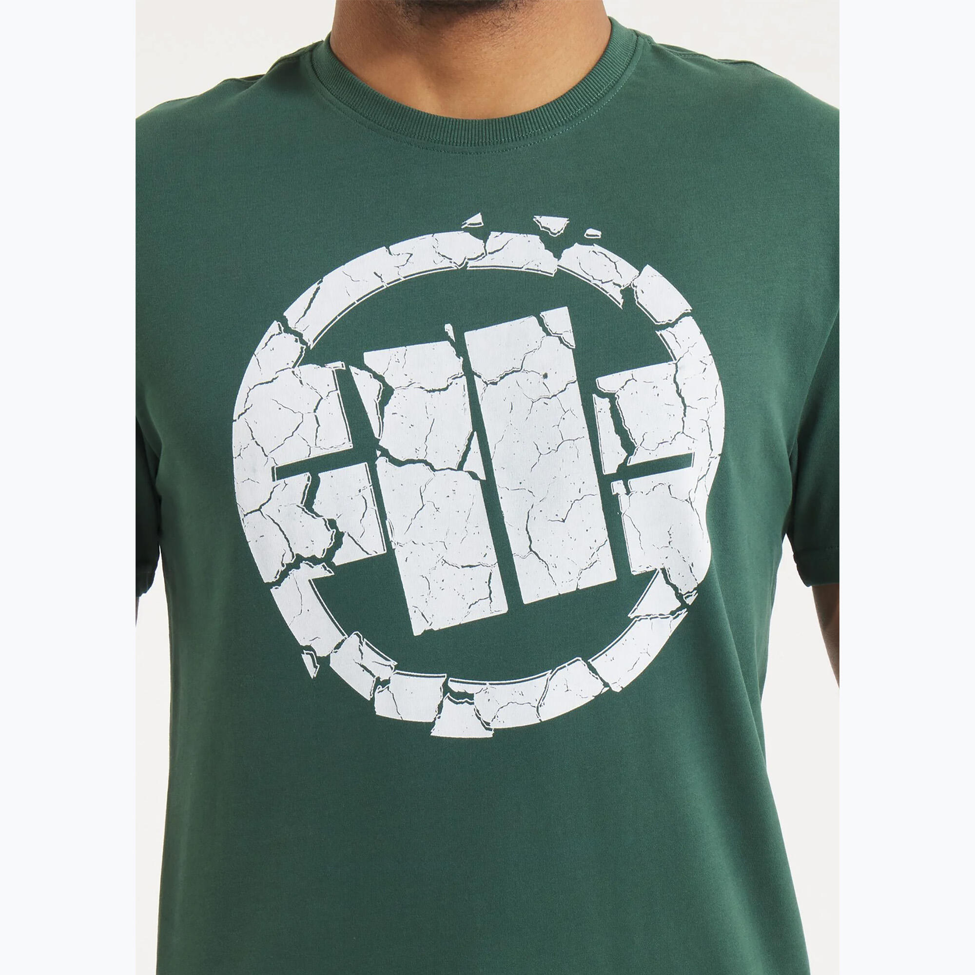 Camiseta masculina Pitbull Scratch 4/5