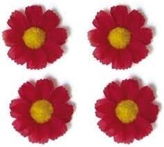 BASIL Basil Flower, 4 magrietjes, rosso, codice 50188.