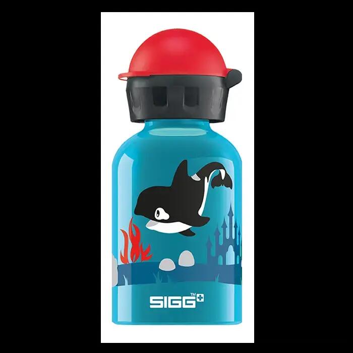 SIGG picture