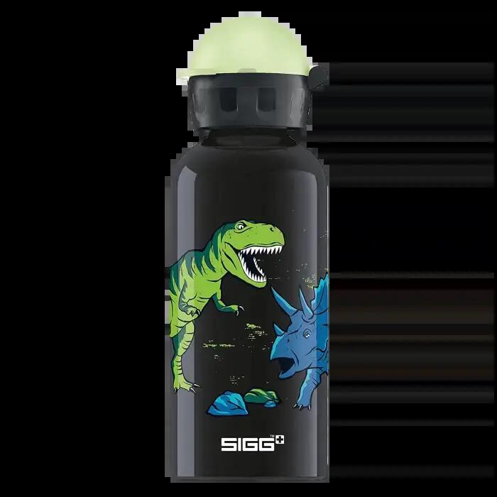 SIGG picture