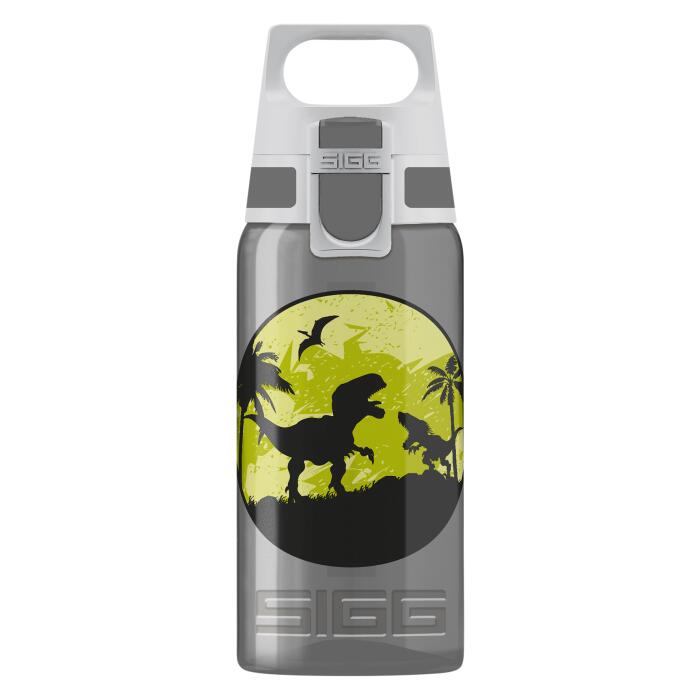 SIGG picture