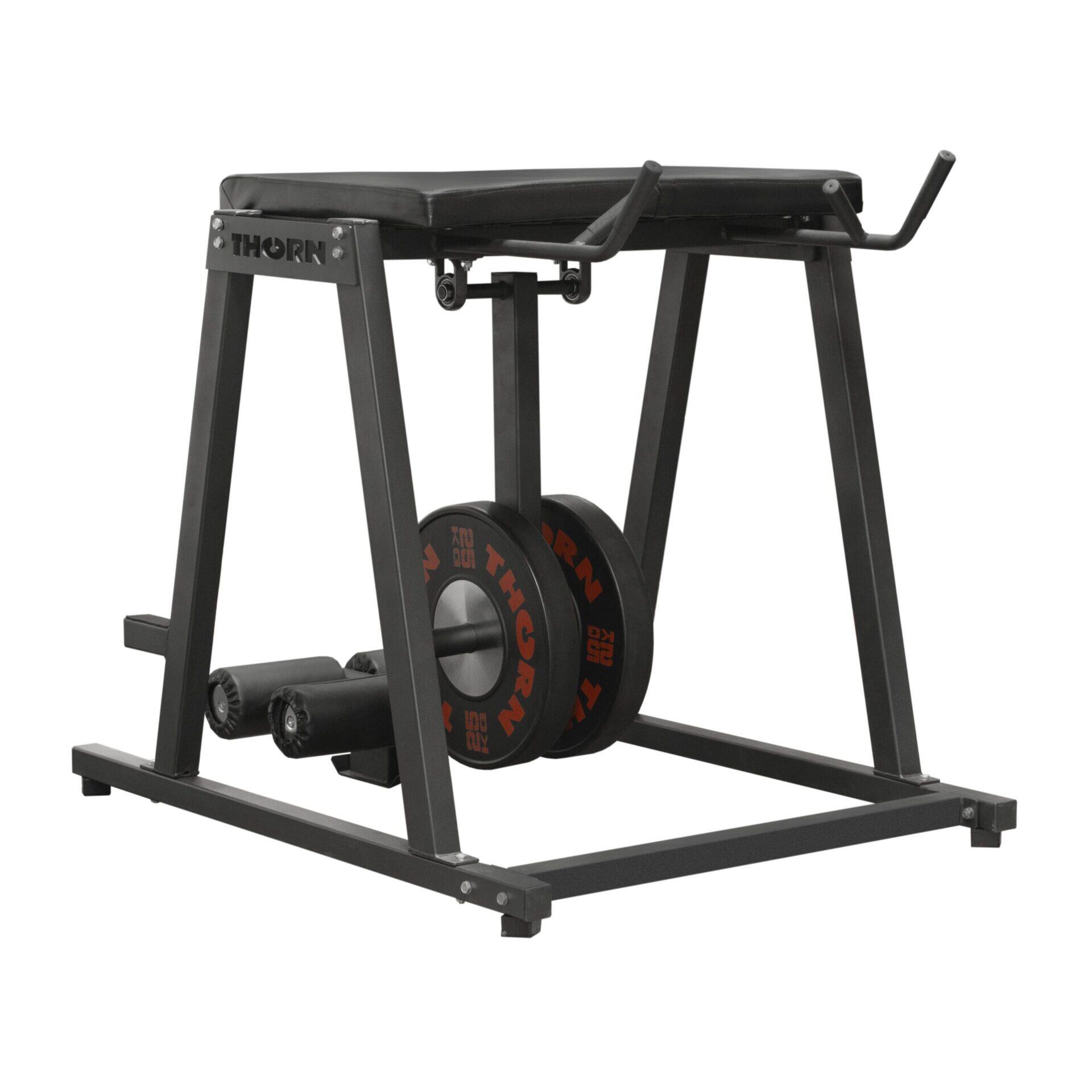 Ławka THORN FIT Reverse Hyper 2/3