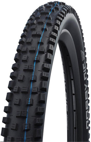 SCHWALBE