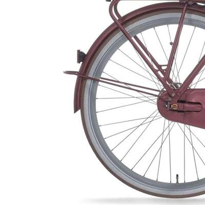 Cortina Hinterkotflügel 28 Zoll E-U4 - Würziges Silber 2 Matt