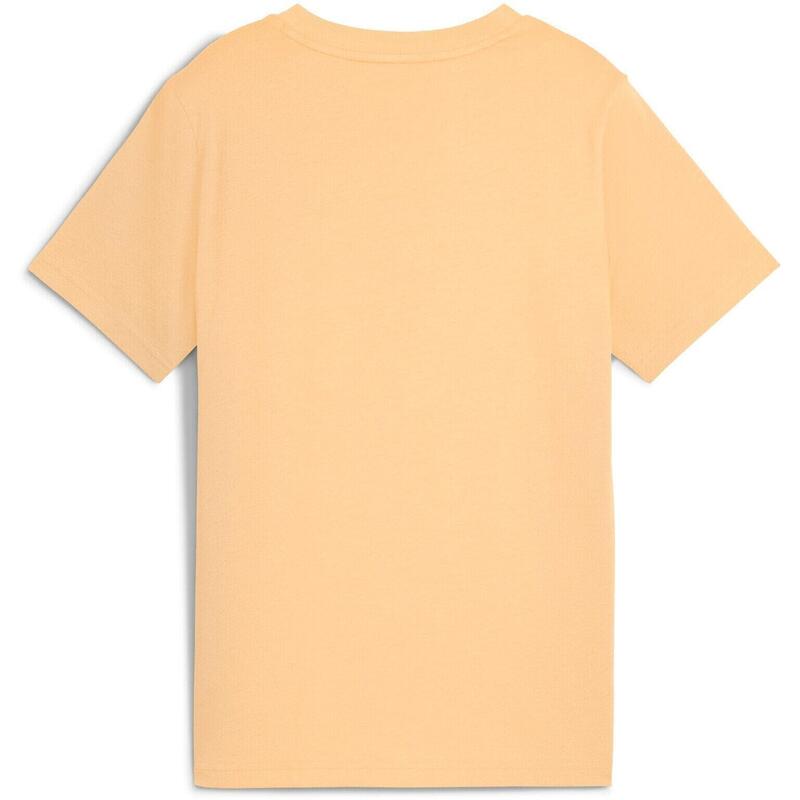 Tricou copii Puma Ess 2 Color No.1 Logo Tee B, Portocaliu