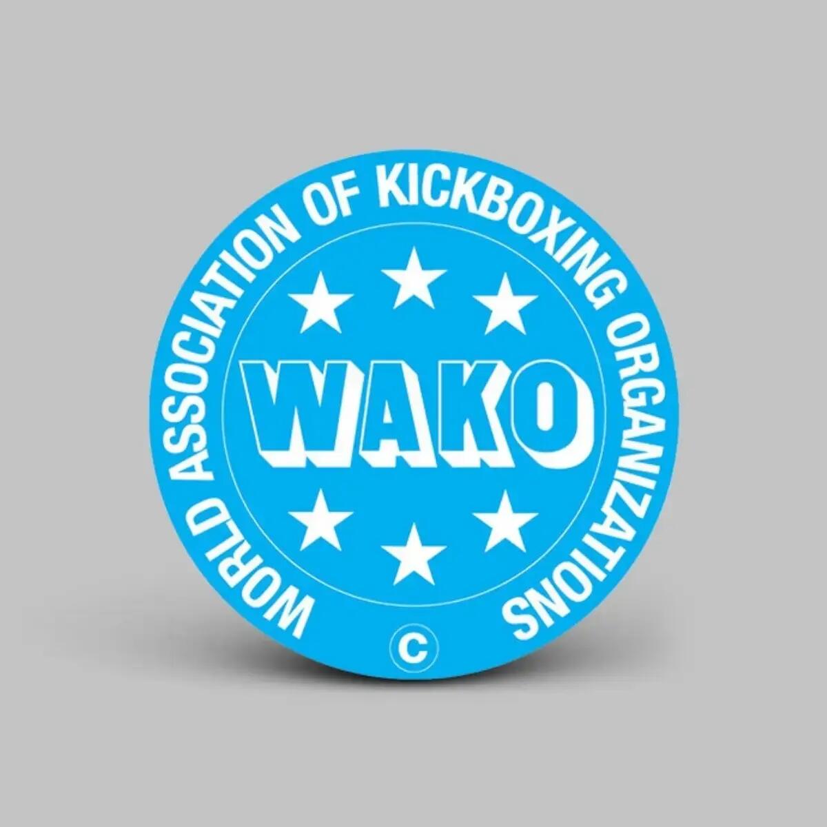 Gants de boxe RDX WAKO T1 – Rouge – 10 oz 7/7