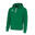 Jassen Errea Jonas Trainingsjack Ad 00040 Groen Volwassenen