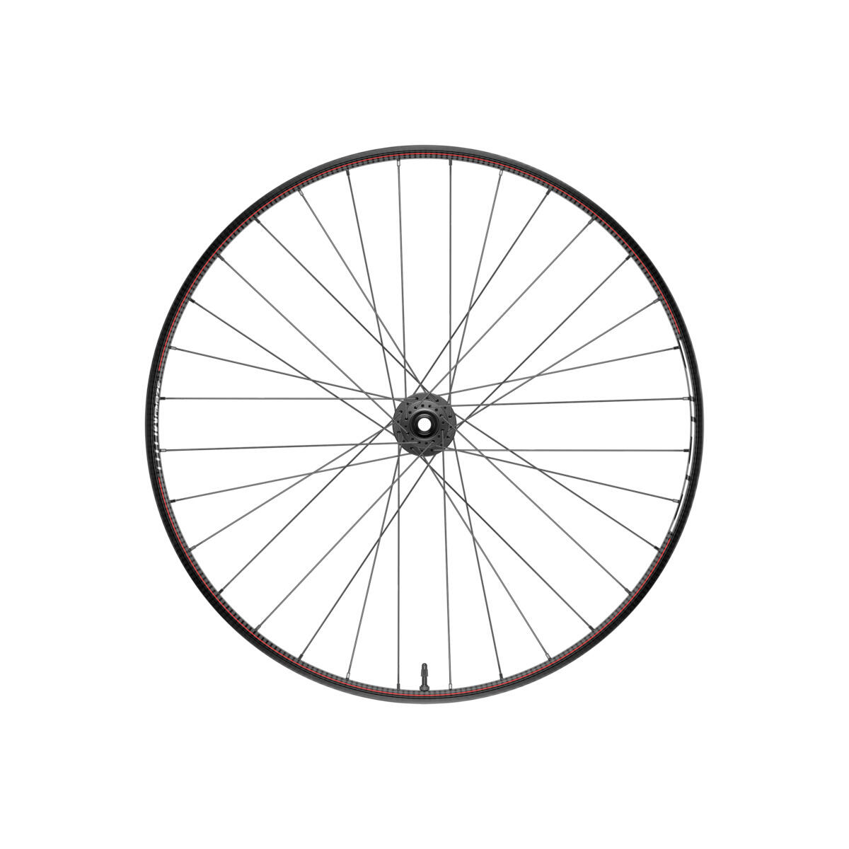 ZIPP Ruota posteriore Zipp Zipp 3Zero Moto Zm2 Xd 12V 29