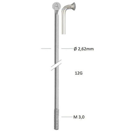 Alpina Zinkspeiche 12-230 ohne Nippel (144 Stück)