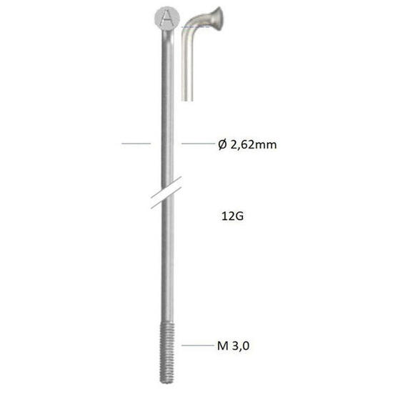Alpina Zinkspeiche 12-230 ohne Nippel (144 Stück)