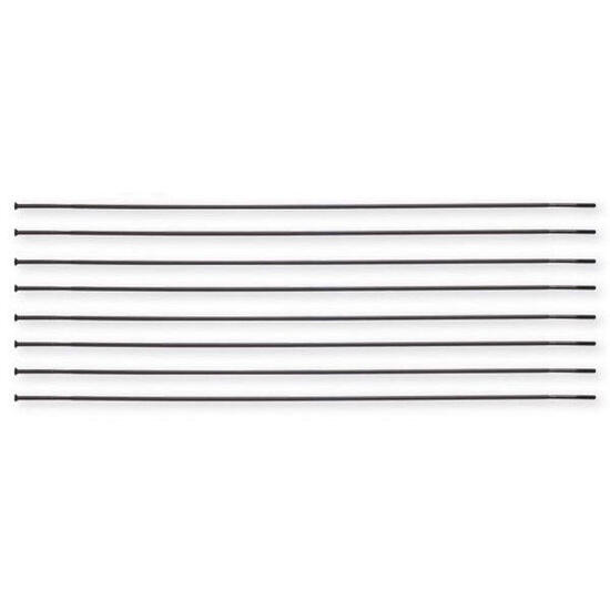 Miche set di 10 raggi con nipples in acciaio inox modello 988RR per 275.