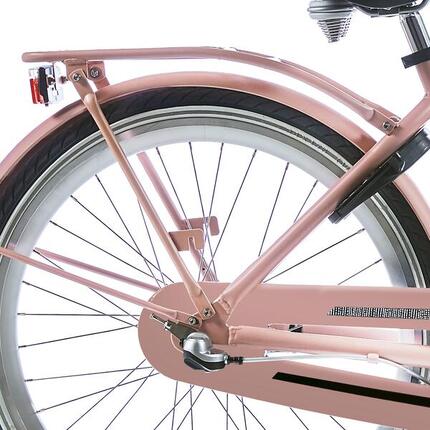 Porte-bagages arrière Alpina 24 Clubb Desert Pink mat.