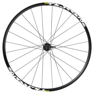 Achterwiel 6-gaats velgbeveiliging mavic crossride 10-1disc 584-21