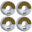 Roue de skateboard Verb Dip 99A (x4)