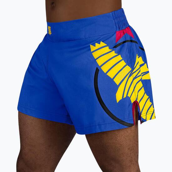 Short d'entraînement de kickboxing Hayabusa Icon pour homme