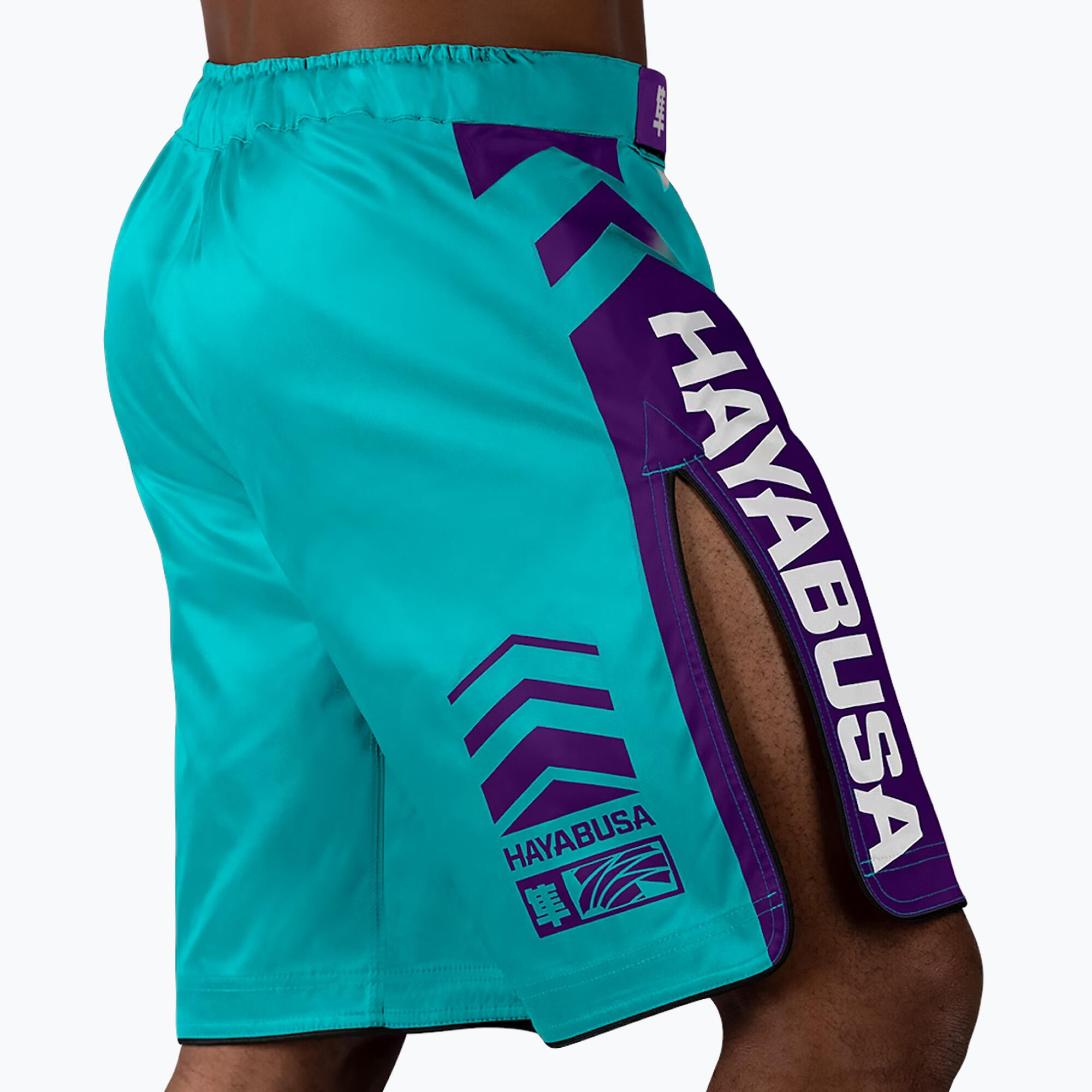Spodenki treningowe Hayabusa Icon Fight 4/5