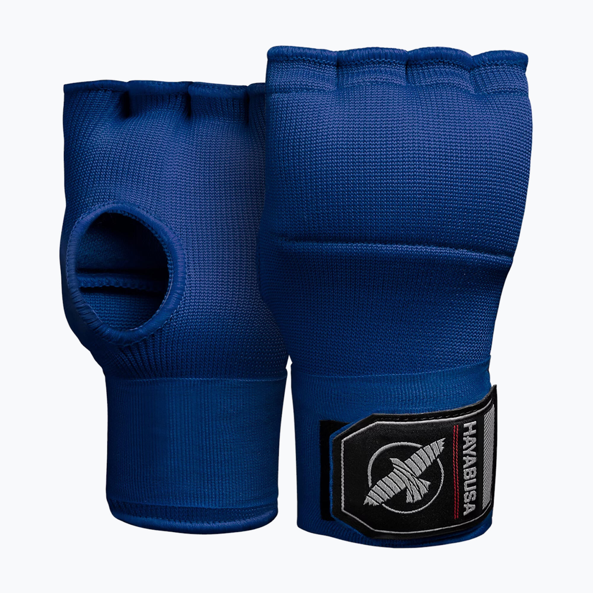 HAYABUSA picture