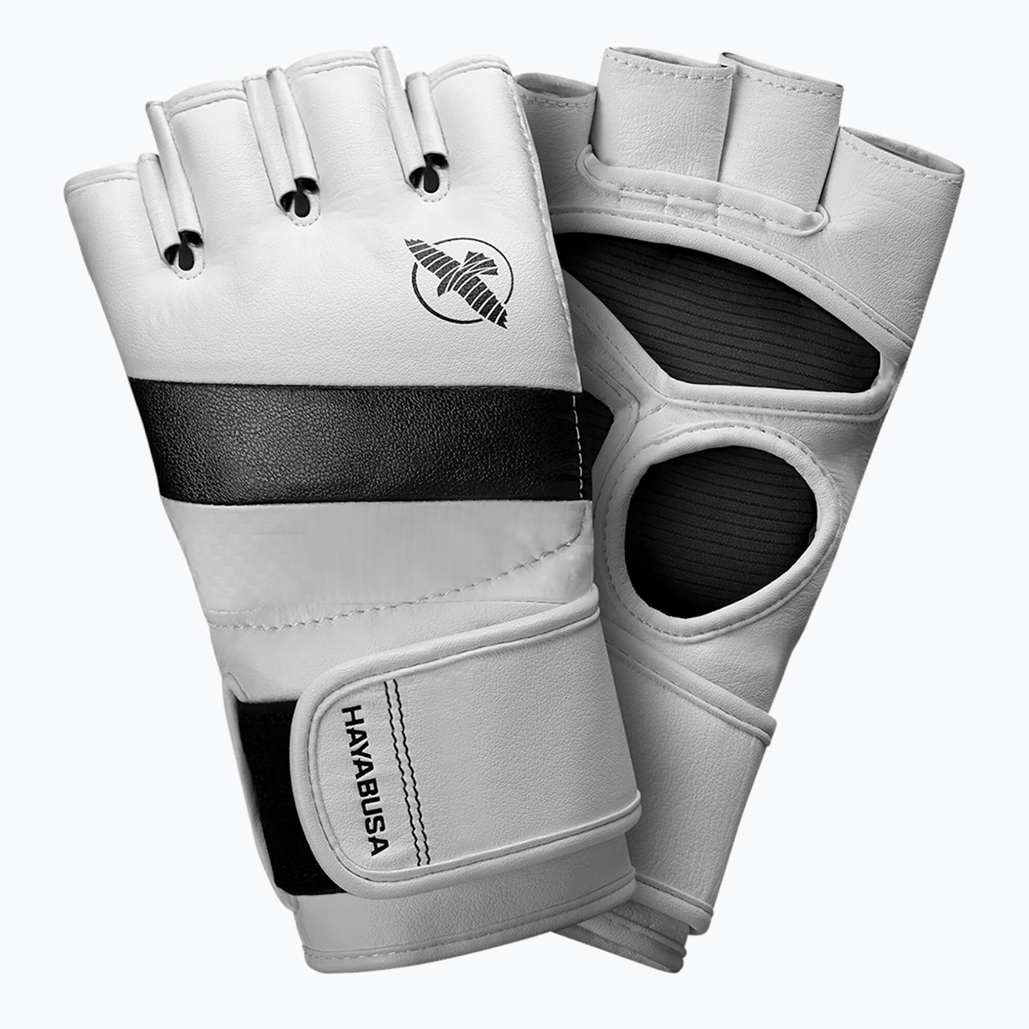 HAYABUSA picture