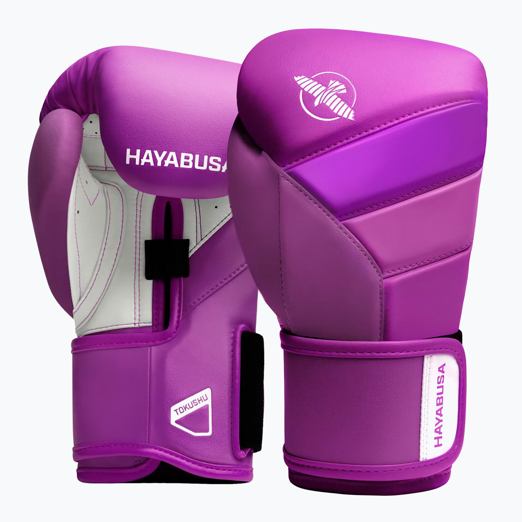 HAYABUSA picture