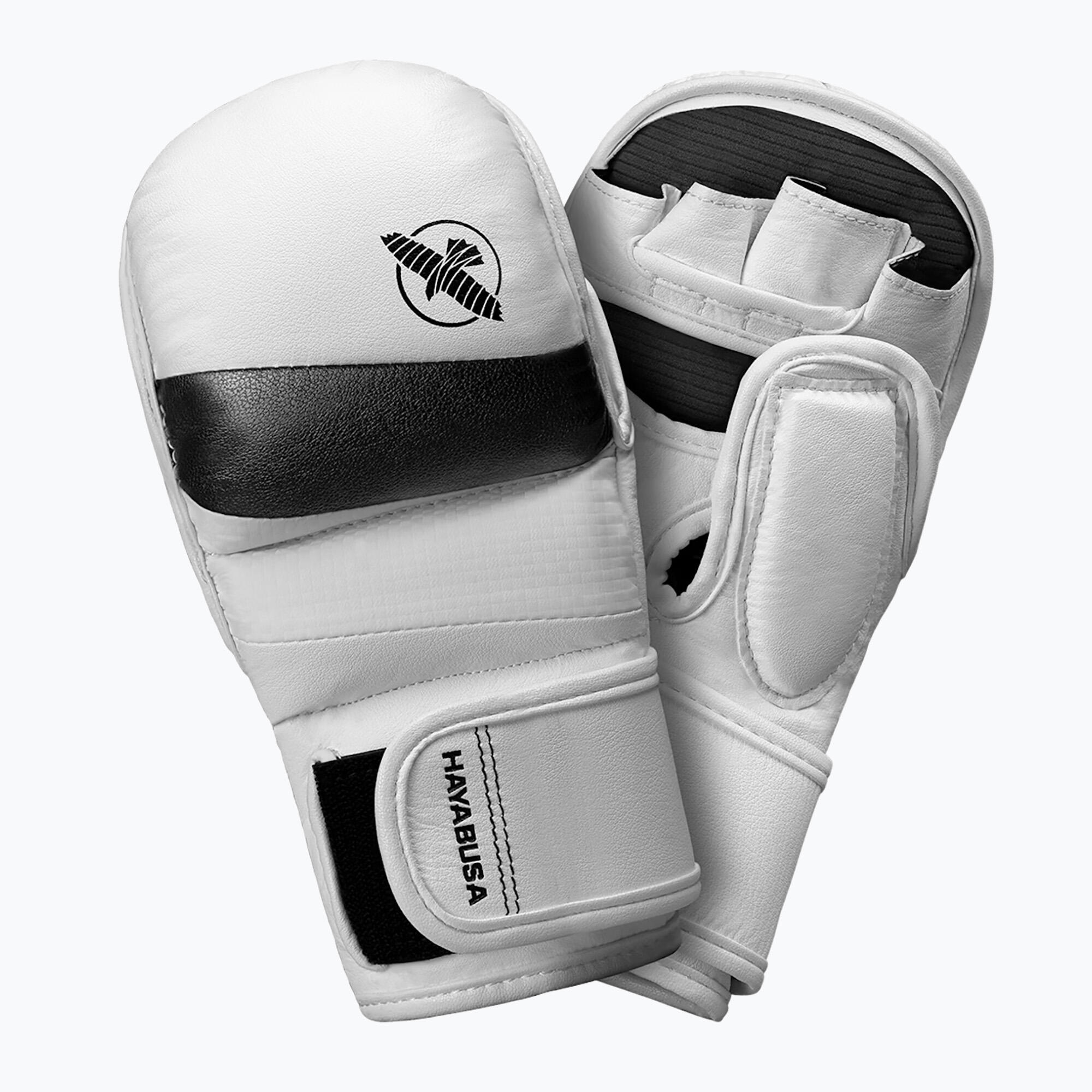 HAYABUSA picture