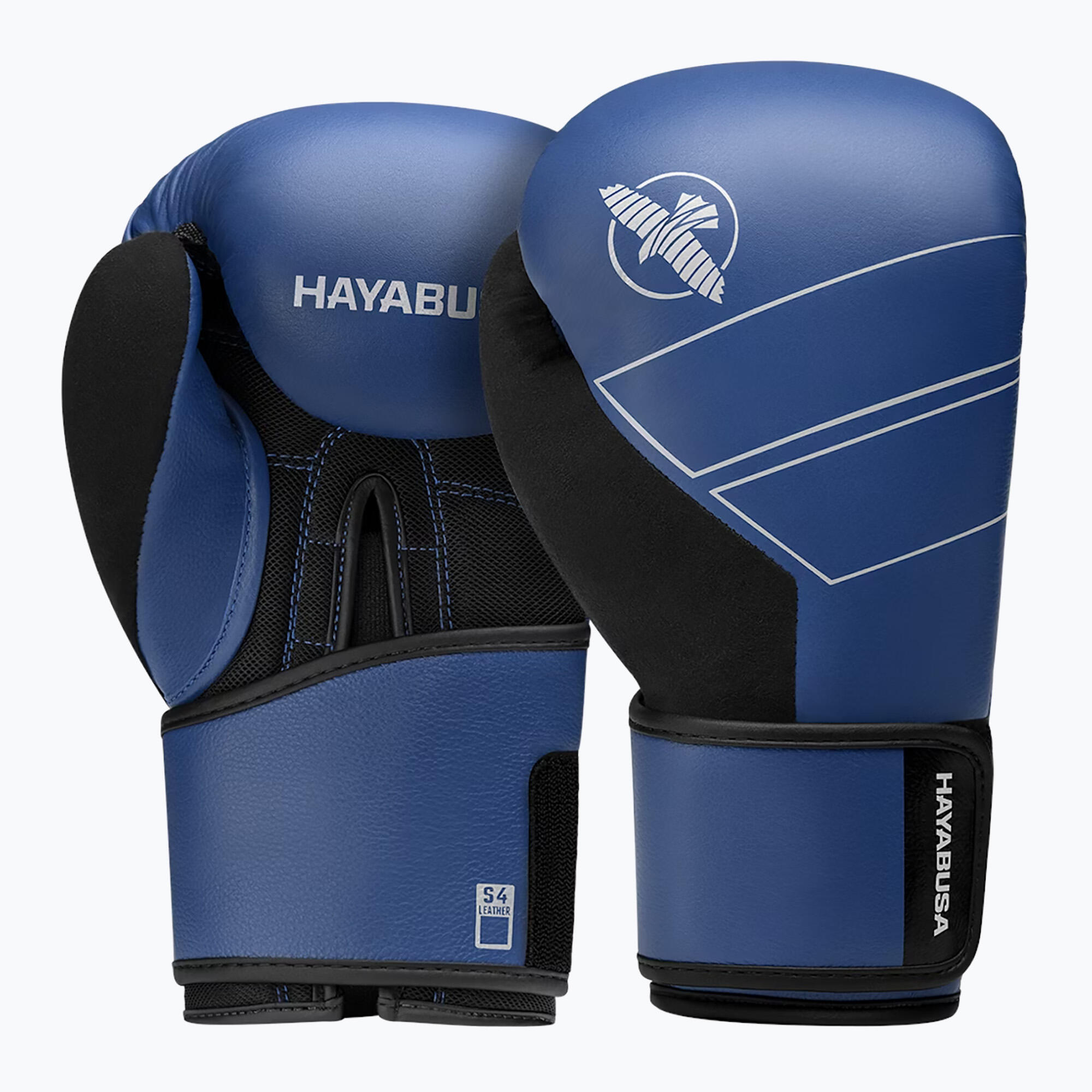 HAYABUSA picture