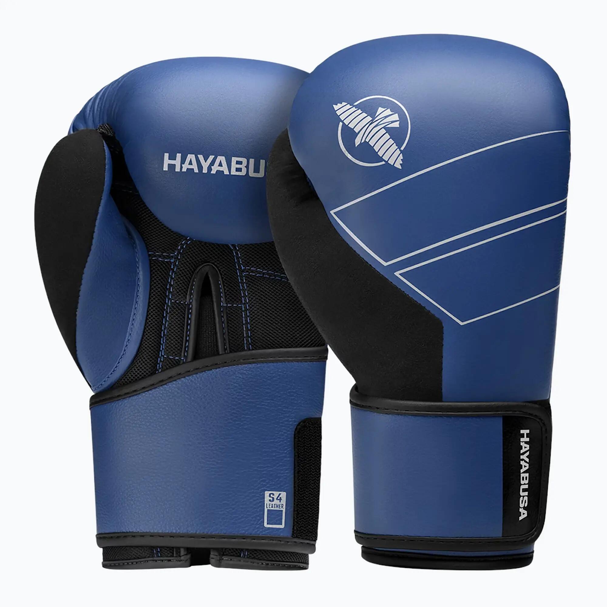HAYABUSA picture