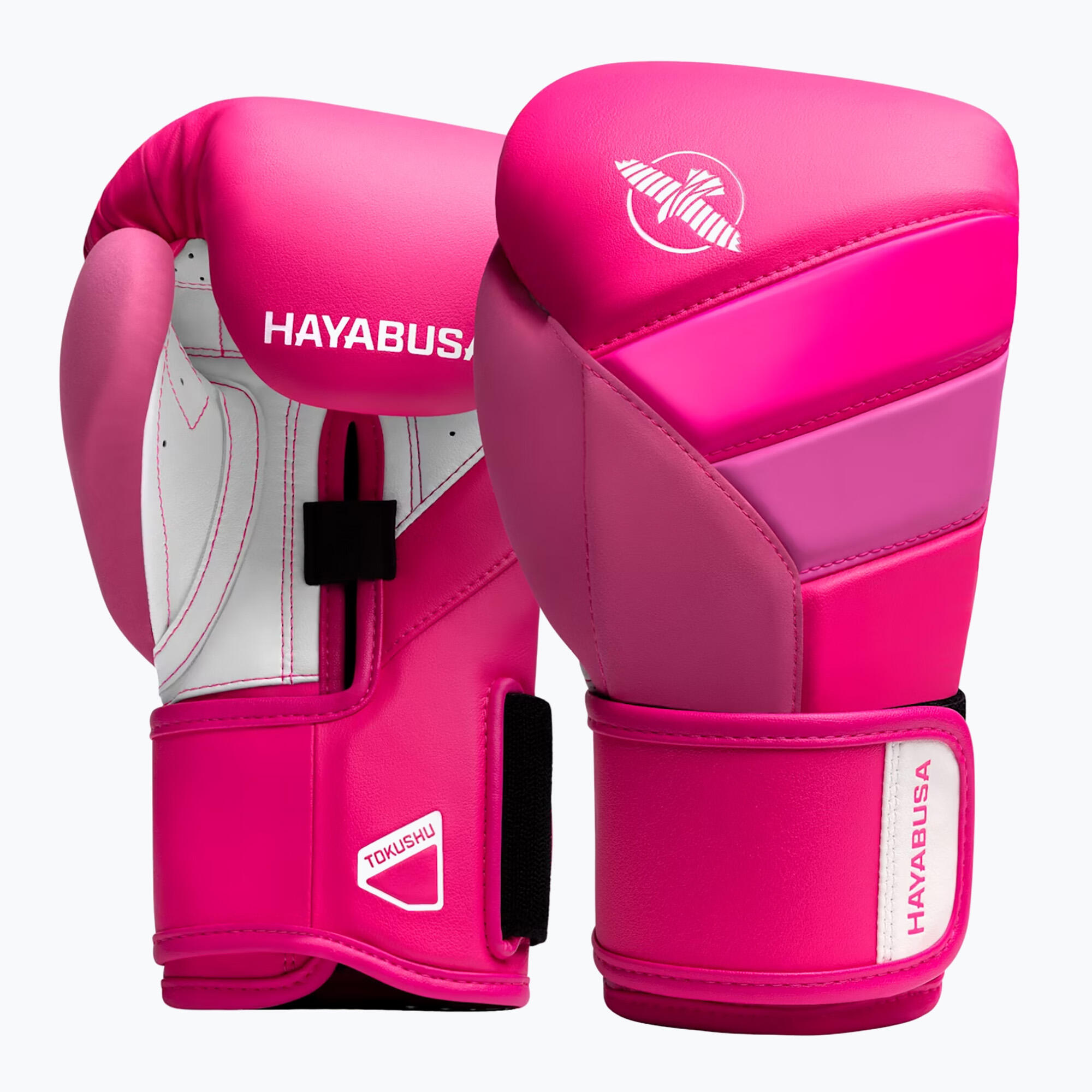 HAYABUSA picture