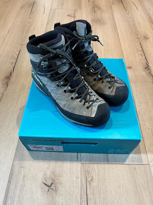 SCARPA picture
