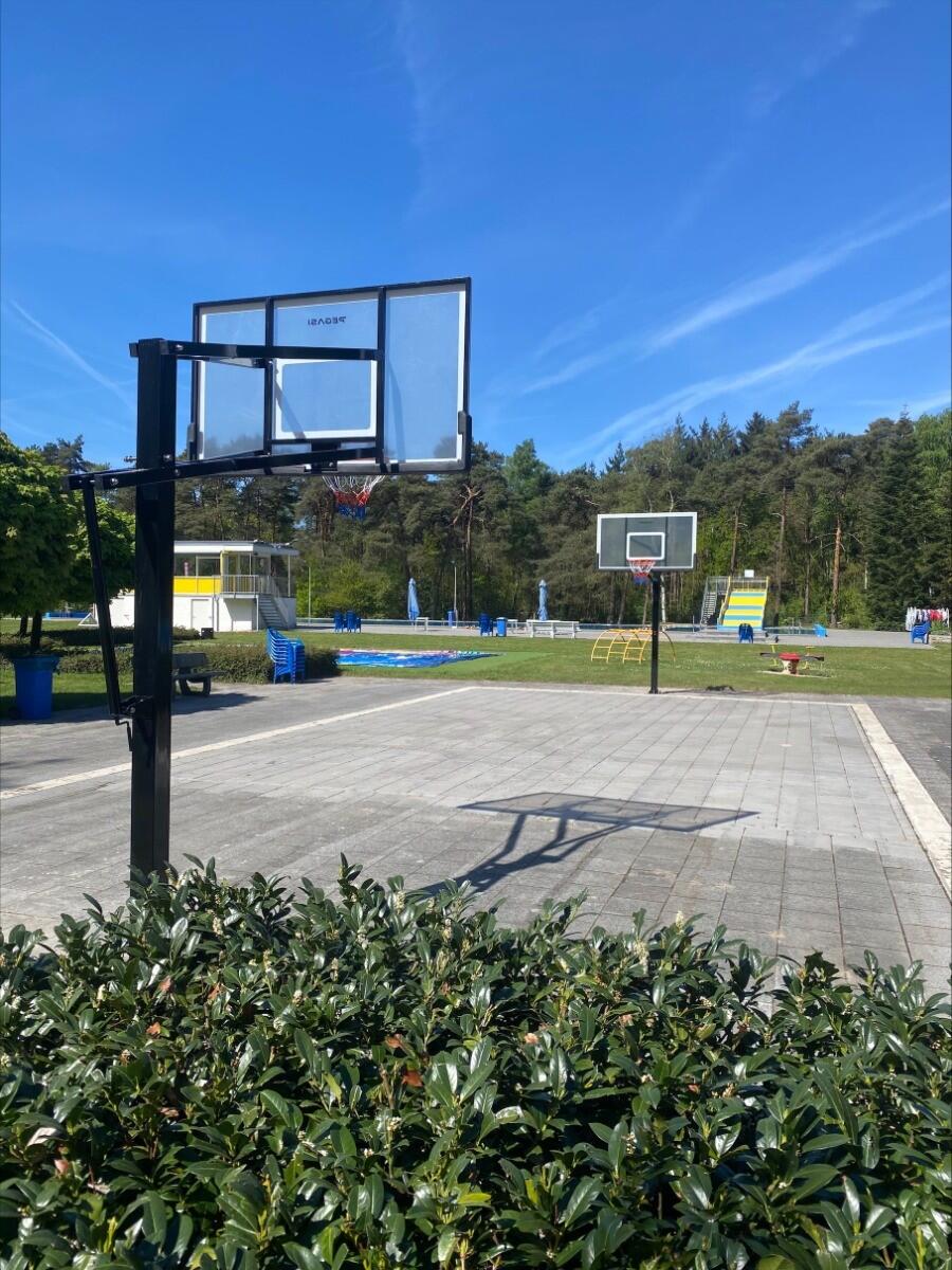 Pegasi basketbalpaal Inground Pro 2.45 - 3.05m 3/3