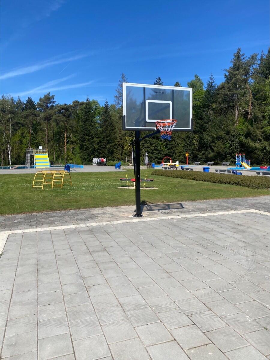 Pegasi basketbalpaal Inground Pro 2.45 - 3.05m 2/3