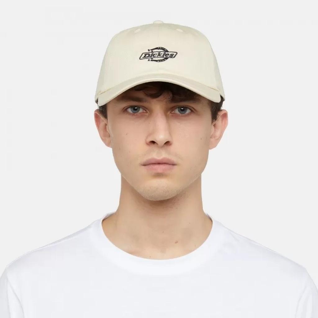 Cap Dickies Model Essential Dad Cap Cprn Kleur Beige 3/5